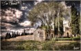 /album/san-clemente/cementerio-sanclemente-topaz-cameraw-bajaresolucion-jpg/